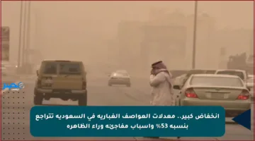 انخفاض كبير.. معدلات العواصف الغبارية في السعودية تتراجع بنسبة 53% وأسباب مفاجئة وراء الظاهرة